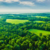 An aerial view of a green forest and fields