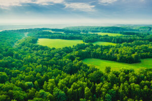 An aerial view of a green forest and fields